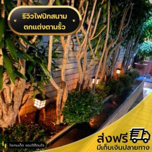 ไฟปักสนามญี่ปุ่น