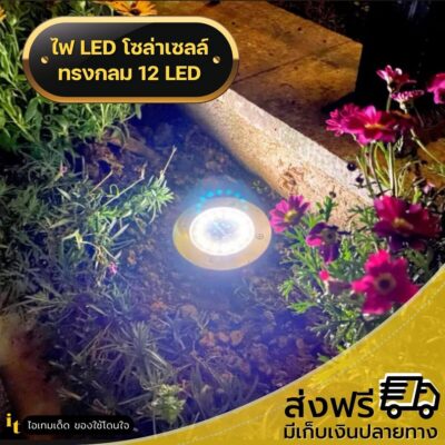 ไฟปักสนามโซล่าเซลล์ 12LED
