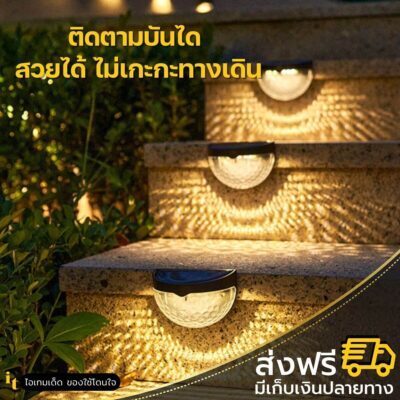 ไฟโซล่าเซลล์ติดผนัง แพหางนกยูง2