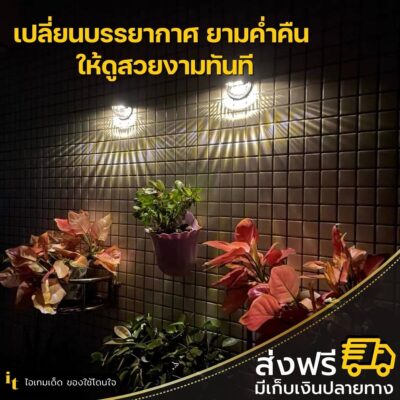 ไฟโซล่าเซลล์ติดผนัง แพหางนกยูง1